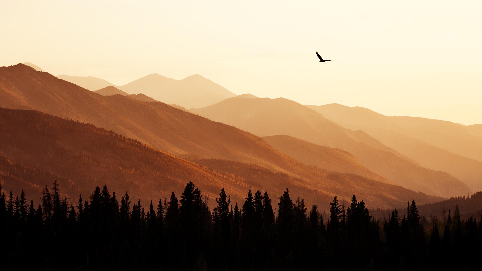 Layered mountain ridges at golden hour with a soaring bird